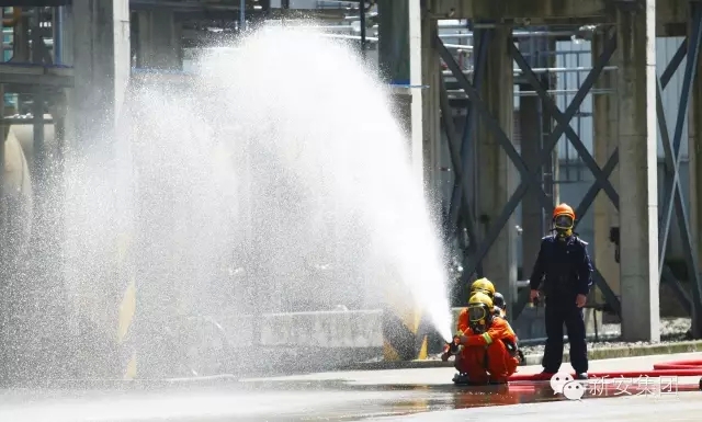 14611170819993606JW3.jpg 640.webp (15).jpg